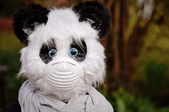 BigAzart Kazino Atbalsts